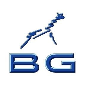 Blue Giraffe Sports
