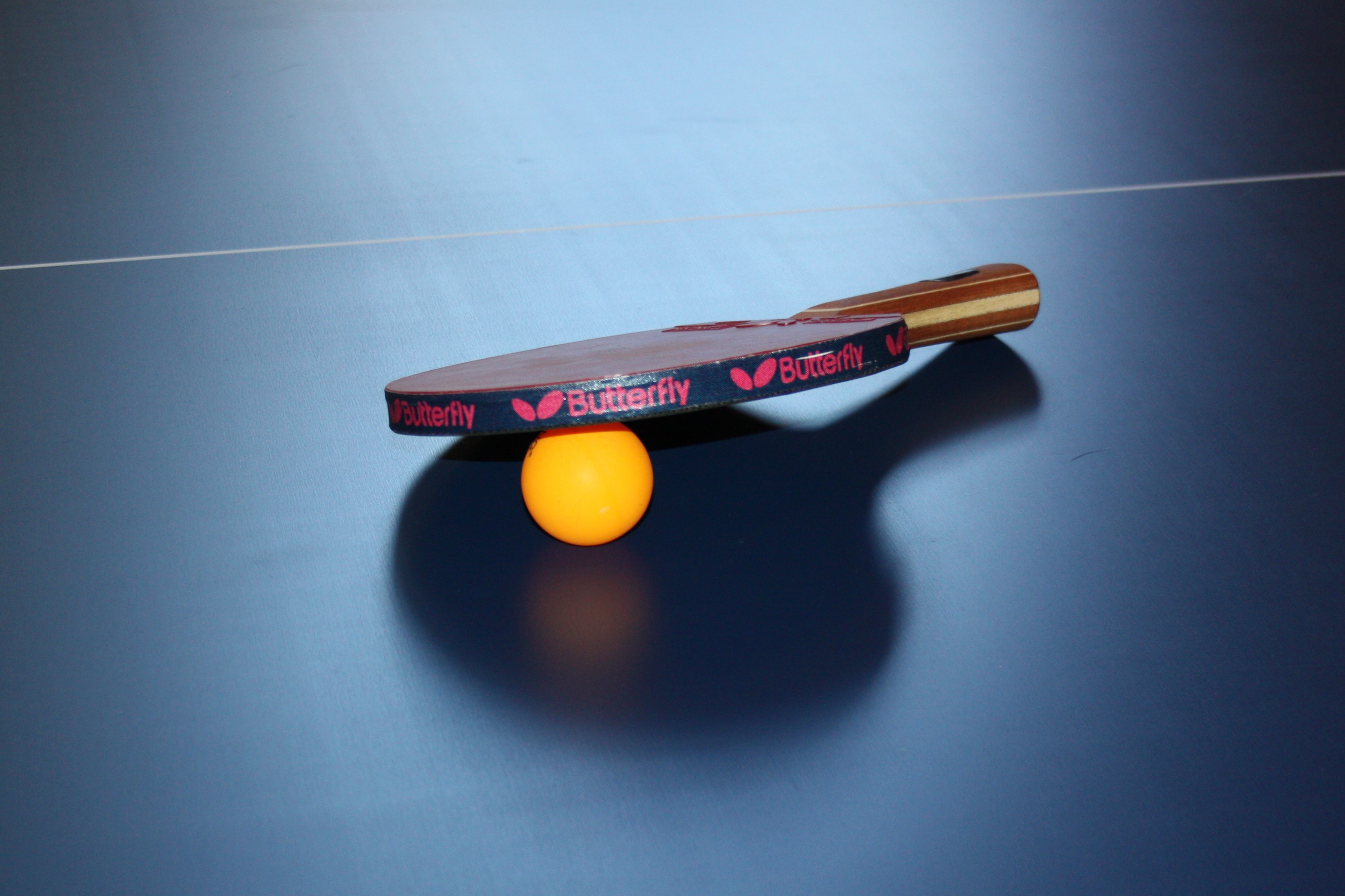 North Shore Table Tennis Club