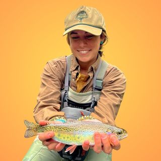 MACY WATKINS JOHNSTON