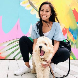 dmvfoodie on TikTok (100K+)