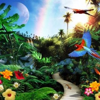 Influencer In The Wild