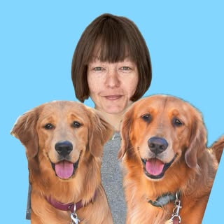 Atlas & Aura + Anu Jalasto | golden retriever life