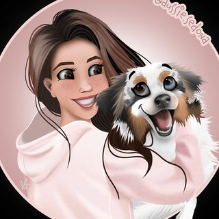 Sedona The Australian Shepherd | Toronto